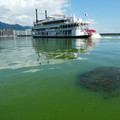 1292-1.jpg