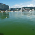 1292-3.jpg