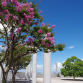 1293-1.jpg