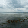 1293-2.jpg