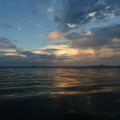 1294-1.jpg