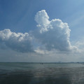 1295-1.jpg