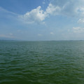 1295-3.jpg