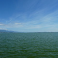 1299-1.jpg