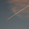 1299-2.jpg