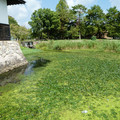 1310-3.jpg
