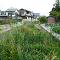 1311-3.jpg