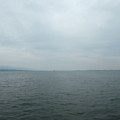 1347-1.jpg