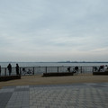 1353-3.jpg