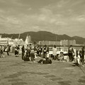 1356-1.jpg