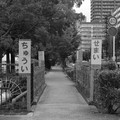 1358-2.jpg