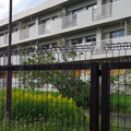 1359-1.jpg