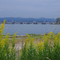 1359-2.jpg