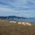 1361-1.jpg