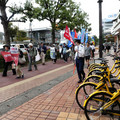 1363-2.jpg