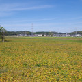 1365-1.jpg