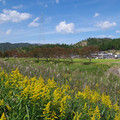 1365-2.jpg