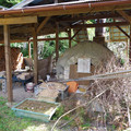 1365-3.jpg