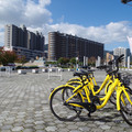 1368-2.jpg