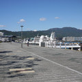 1371-1.jpg