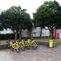 1374-3.jpg