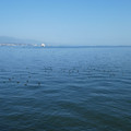 1406-1.jpg