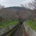 1408-1.jpg