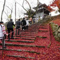 1409-1.jpg