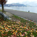 1409-2.jpg