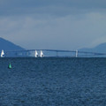 1412-1.jpg