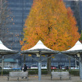 1412-3.jpg