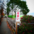 1423-3.jpg