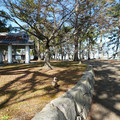 1471-2.jpg
