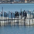 1471-3.jpg