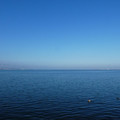 1472-1.jpg