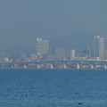 1472-3.jpg