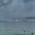 1476-3.jpg