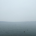1477-1.jpg