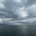 1479-1.jpg