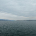 1481-3.jpg