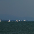 1483-3.jpg