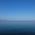 1484-1.jpg