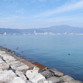 1488-3.jpg