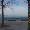 1491-3.jpg