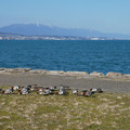 1492-2.jpg