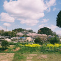 1534-1.jpg