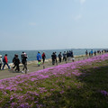 1546-1.jpg