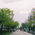 1547-2.jpg