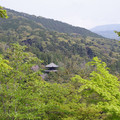 1548-1.jpg