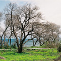 1551-2.jpg